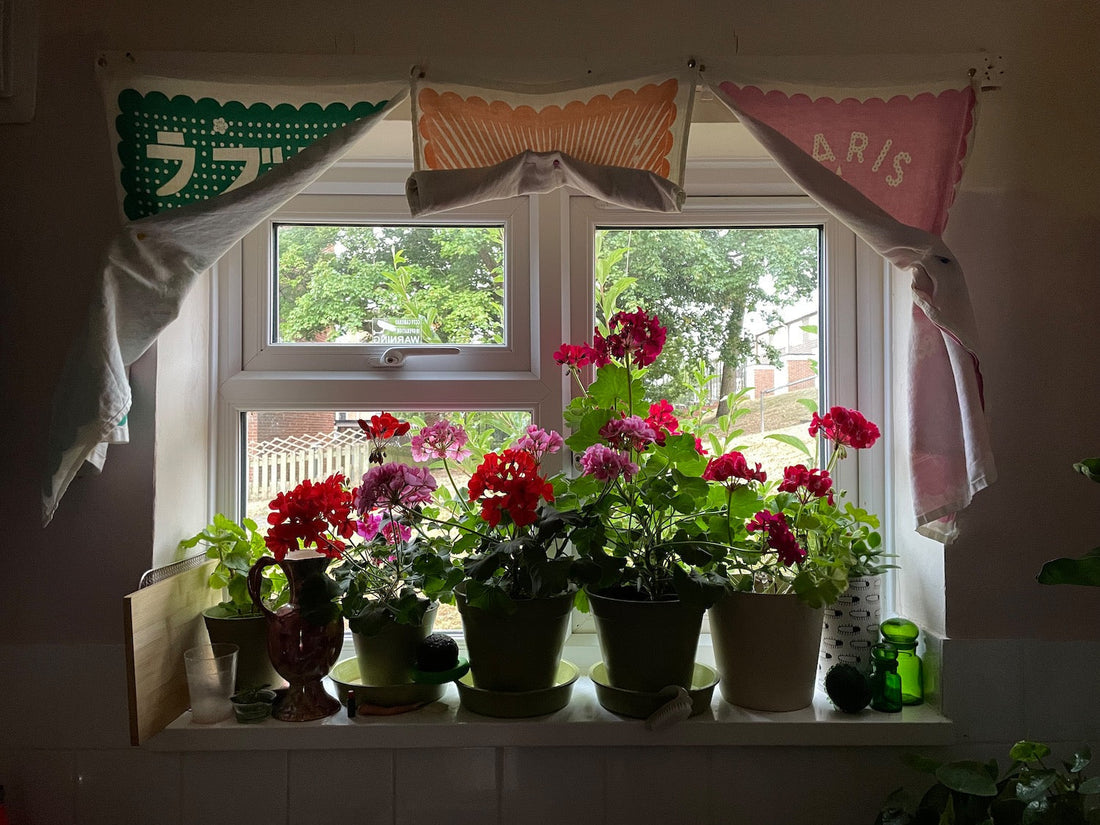 137 - Geraniums
