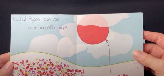 193 - 2nd Balloon Girl Book