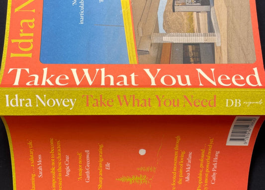 2 - Book review: Take What You Need by Idra Novey