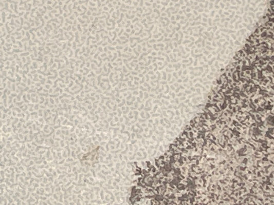 306 - Types and Tones