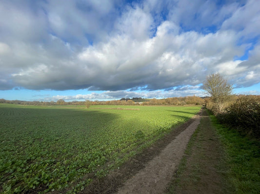 272 - Universal Basic Income?