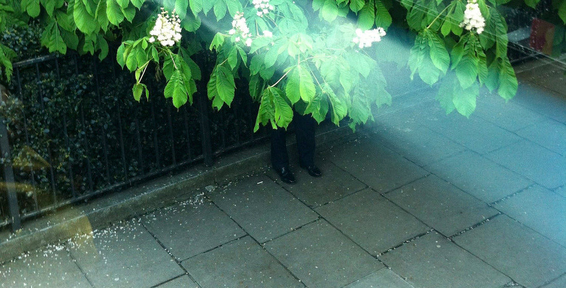 326 - Hidden Not Hiding