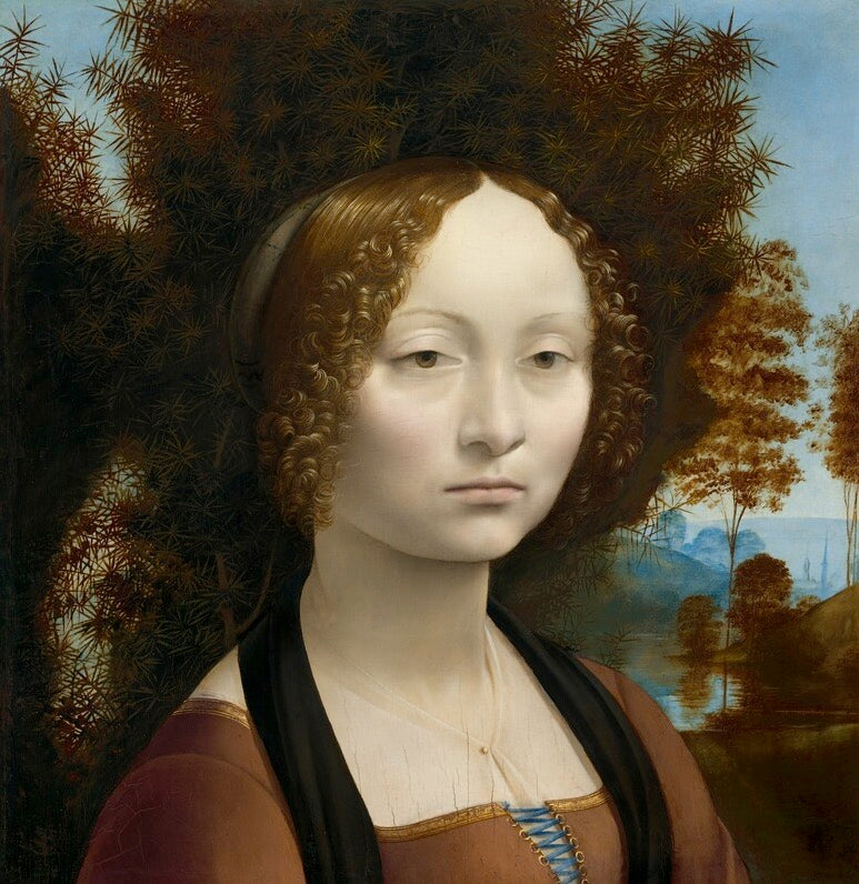 358 - Seeing Leonardo