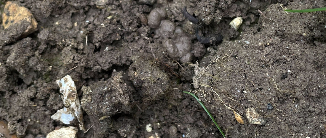 10 - Soil the World At Our Feet - art exhibition at Somerset House