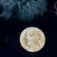Leonardo's Angels - Fashion Badges